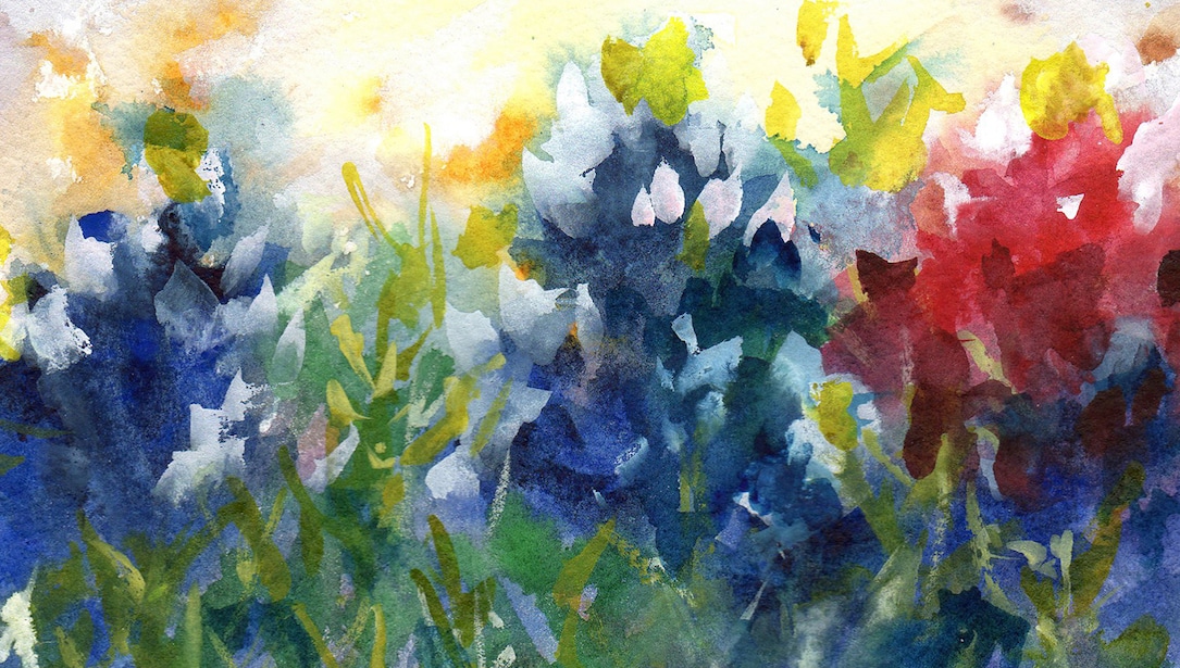 Kathleen McElwaine