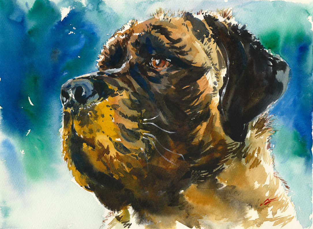 Milan_dog maestro che